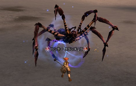 ハンタータランチュラ