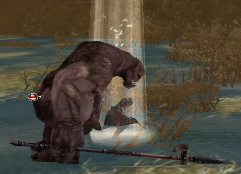 レベルアップおめでと&sim;♪