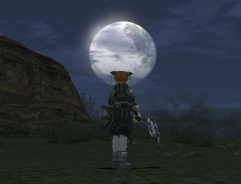 久しぶりに見たかも