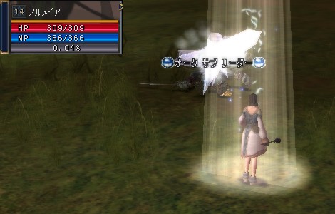 アルメイア＠ジグハルト：Lv14