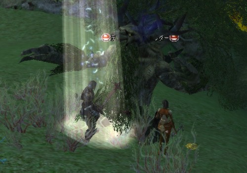 レベルアップおめでとう♪