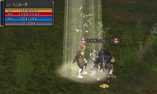 ヘンルーダ:Lv25