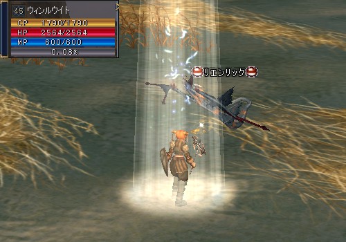 ウィンルウイト：Lv45