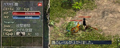 蘿（ひかげ）：Lv30