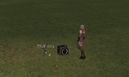 ブランディッシュげっと♪