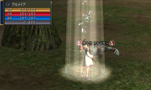 アルメイア＠キャスティエン：Lv11