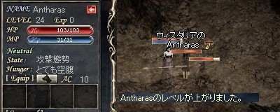 Antharas：Lv24