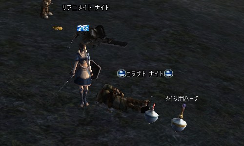 メイジ用ハーブ