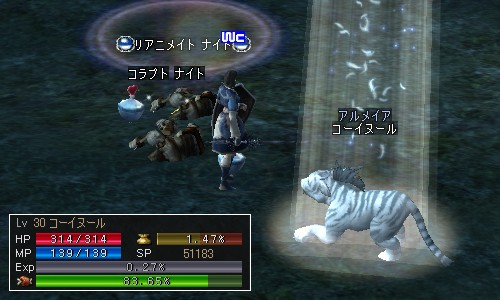 コーイヌール：Lv30