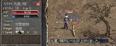 九尾ノ狐：Lv18
